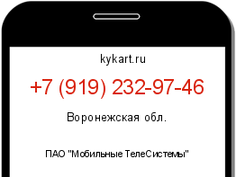 Информация о номере телефона +7 (919) 232-97-46: регион, оператор