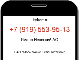 Информация о номере телефона +7 (919) 553-95-13: регион, оператор