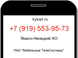 Информация о номере телефона +7 (919) 553-95-73: регион, оператор