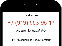 Информация о номере телефона +7 (919) 553-96-17: регион, оператор
