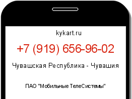 Информация о номере телефона +7 (919) 656-96-02: регион, оператор