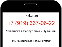 9196670622