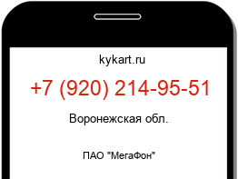 Информация о номере телефона +7 (920) 214-95-51: регион, оператор