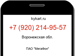 Информация о номере телефона +7 (920) 214-95-57: регион, оператор