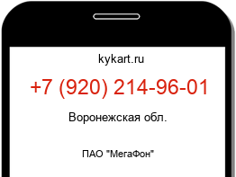 Информация о номере телефона +7 (920) 214-96-01: регион, оператор
