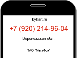 Информация о номере телефона +7 (920) 214-96-04: регион, оператор