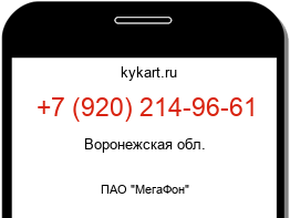 Информация о номере телефона +7 (920) 214-96-61: регион, оператор