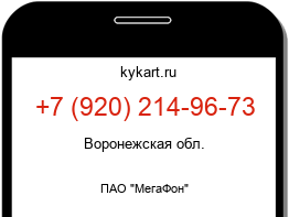 Информация о номере телефона +7 (920) 214-96-73: регион, оператор