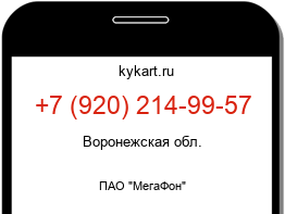 Информация о номере телефона +7 (920) 214-99-57: регион, оператор