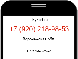 Информация о номере телефона +7 (920) 218-98-53: регион, оператор