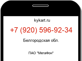 Информация о номере телефона +7 (920) 596-92-34: регион, оператор