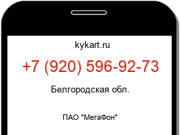 Информация о номере телефона +7 (920) 596-92-73: регион, оператор