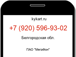 Информация о номере телефона +7 (920) 596-93-02: регион, оператор