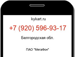 Информация о номере телефона +7 (920) 596-93-17: регион, оператор