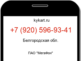 Информация о номере телефона +7 (920) 596-93-41: регион, оператор