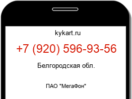 Информация о номере телефона +7 (920) 596-93-56: регион, оператор
