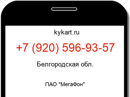 Информация о номере телефона +7 (920) 596-93-57: регион, оператор