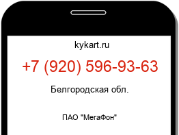 Информация о номере телефона +7 (920) 596-93-63: регион, оператор