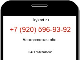 Информация о номере телефона +7 (920) 596-93-92: регион, оператор