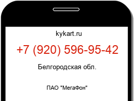Информация о номере телефона +7 (920) 596-95-42: регион, оператор