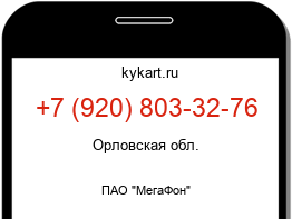 9208033276