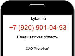 9209010493