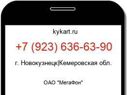 9236366390