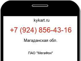 9248564316