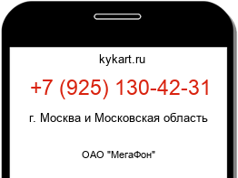 9251304231
