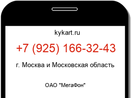9251663243