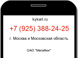 9253882425