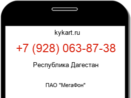 9280638738