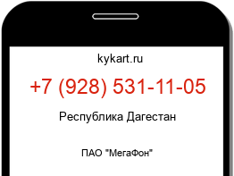 9285311105
