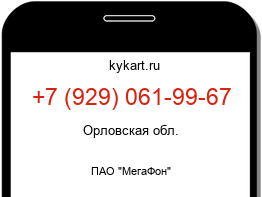 9290619967