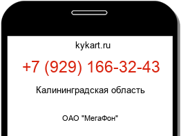 9291663243