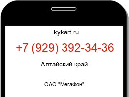 9293923436