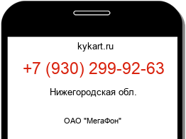 9302999263