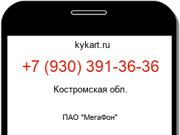 9303913636