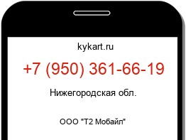 9503616619