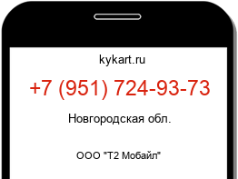Информация о номере телефона +7 (951) 724-93-73: регион, оператор