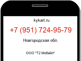 Информация о номере телефона +7 (951) 724-95-79: регион, оператор