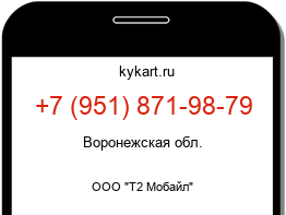 Информация о номере телефона +7 (951) 871-98-79: регион, оператор