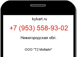 9535589302