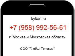 9589925661