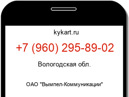 Информация о номере телефона +7 (960) 295-89-02: регион, оператор