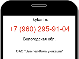 Информация о номере телефона +7 (960) 295-91-04: регион, оператор