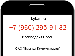Информация о номере телефона +7 (960) 295-91-32: регион, оператор