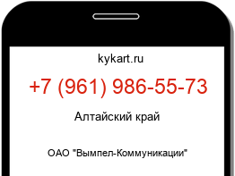 9619865573