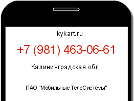 Информация о номере телефона +7 (981) 463-06-61: регион, оператор