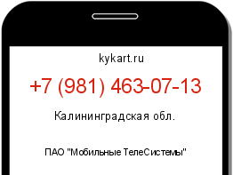 Информация о номере телефона +7 (981) 463-07-13: регион, оператор